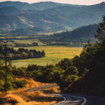 Uncharted Land – 2022 Mountain Blend & 2024 Ribolla Gialla